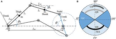 Robust tracking for functional electrical stimulation cycling with unknown time-varying input delays: A switched systems approach